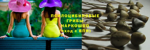 марки lsd Богородицк