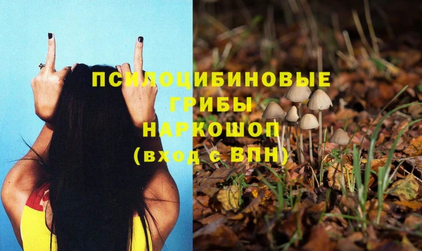 марки lsd Богородицк